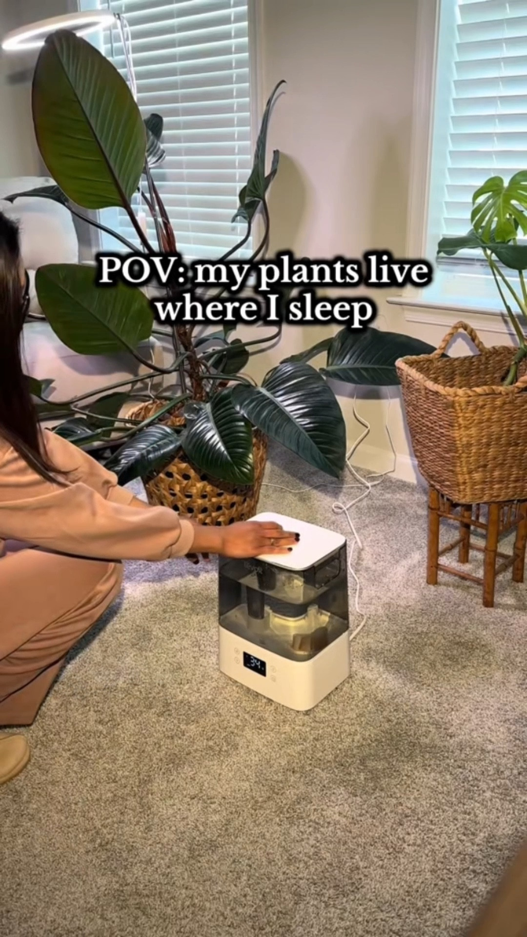 Quiet, cozy, and plant-friendly #humidifier #plantparent 

#LTKHome