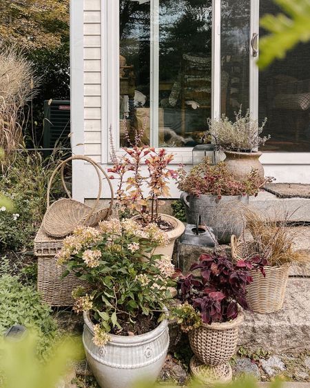 Fall has arrived. Use my code MSTARR10 for 10% off your order at McGee & Co...

Planters, ceramic pots, urns, outdoor decor, garden decor, Lulu & Georgia, At Home Stores, Julia Berolzheimer for Pottery Barn, Hearth & Hand Target, outdoor wicker, gathering basket 

#LTKfindsunder100 #LTKSeasonal #LTKhome
