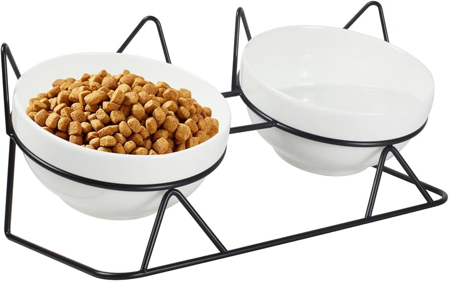 Elevated Tilted Cat Bowls for Indoor Cats，Raised Ceramic Cat Bowl Elevated 15°,Pet Feeding Bow... | Amazon (US)