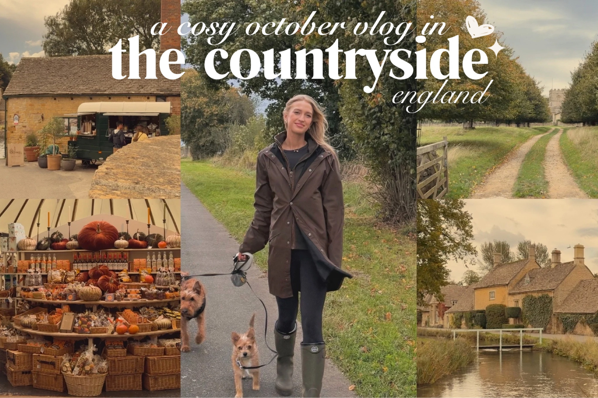 Everything I wore and shopped this week. 