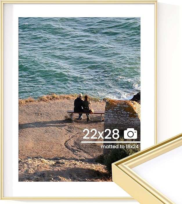 RICHFOCUS 22x28 Metal Frame Matted to 18x24 | 22 x 28 Aluminum Poster Frame | 22x28 Picture Frame... | Amazon (US)