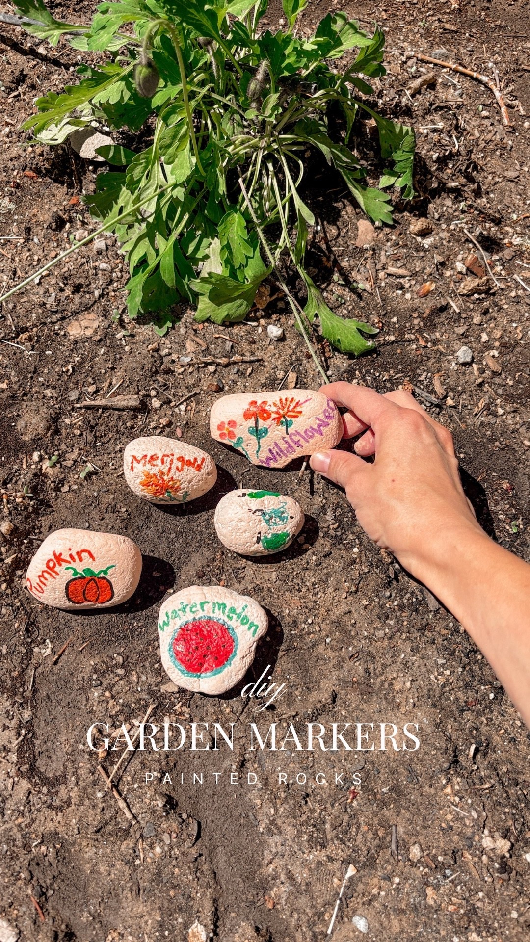 DIY garden markers 

#LTKmomlife #LTKHome #LTKdayinmylife