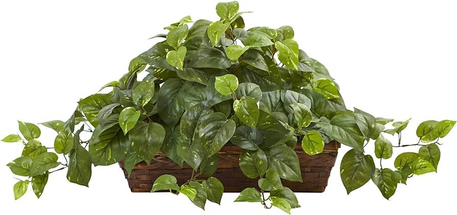Nearly Natural Pothos with Ledge Basket, Green,34x18x15 | Amazon (US)