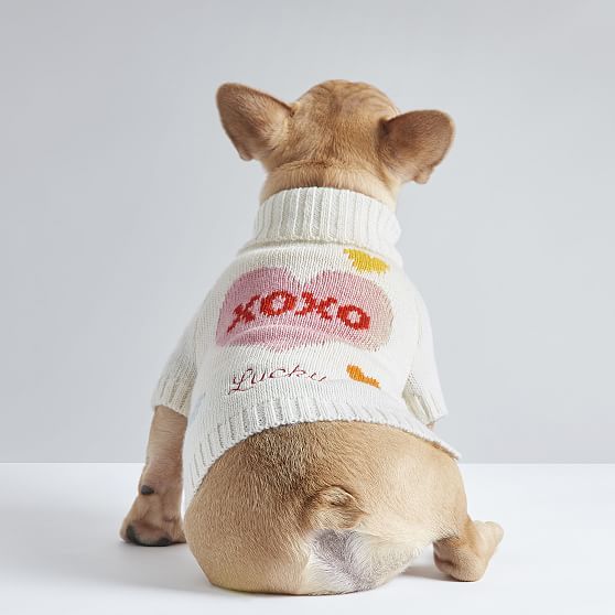 Love Knit Dog Sweater | Mark and Graham | Mark and Graham