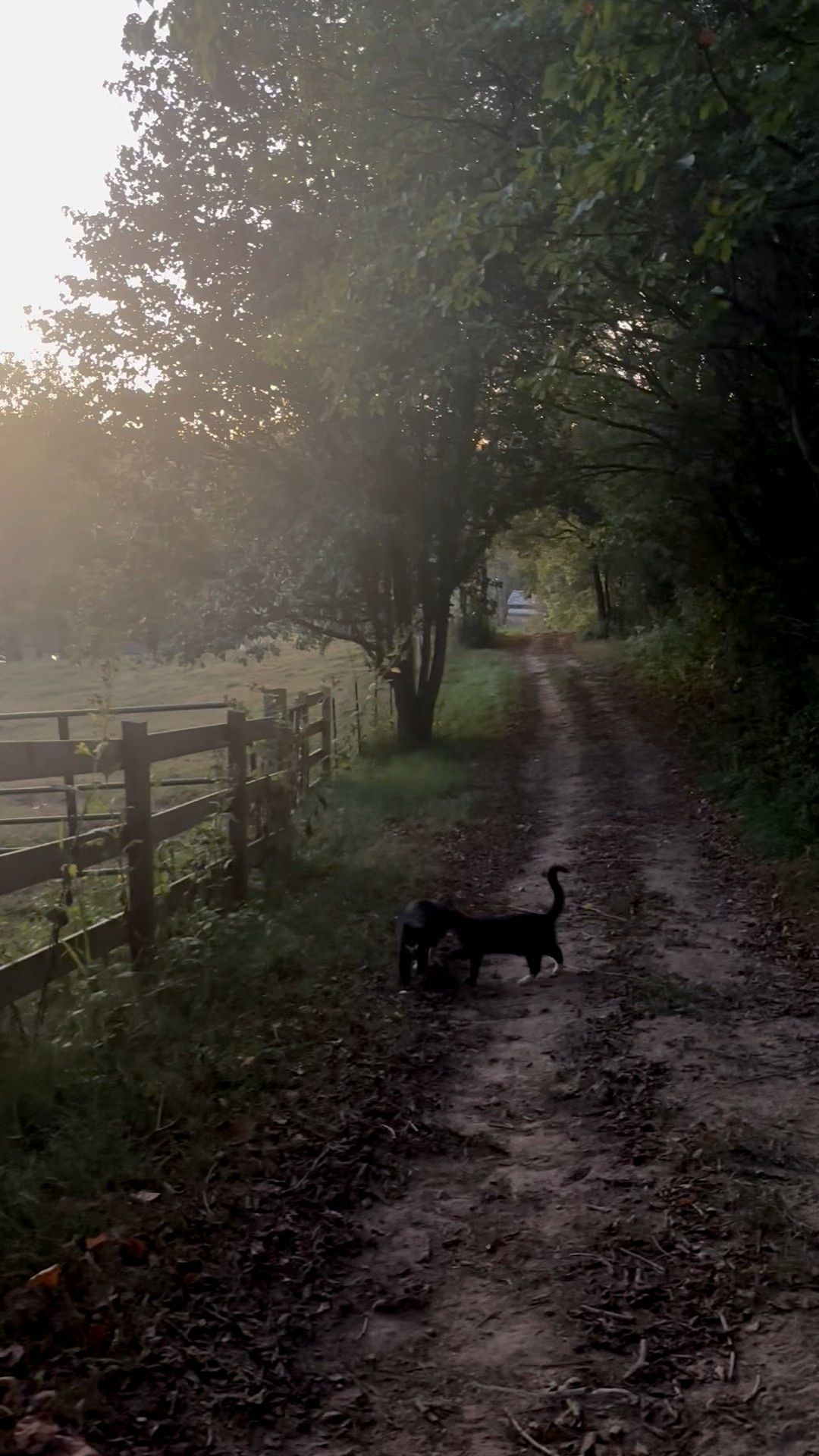 The most heavenly sound! Happy to be home!