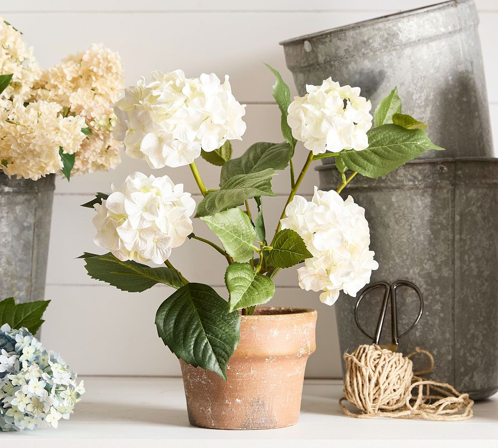 Faux Potted Hydrangea | Pottery Barn (US)