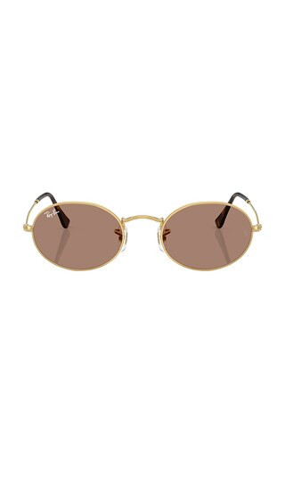 Oval Sunglasses in Arista | Revolve Clothing (Global)