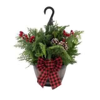 1.25 Gal. Napa Barrel Hanging Basket Fresh Cut Holiday Greens (1-Pack) | The Home Depot