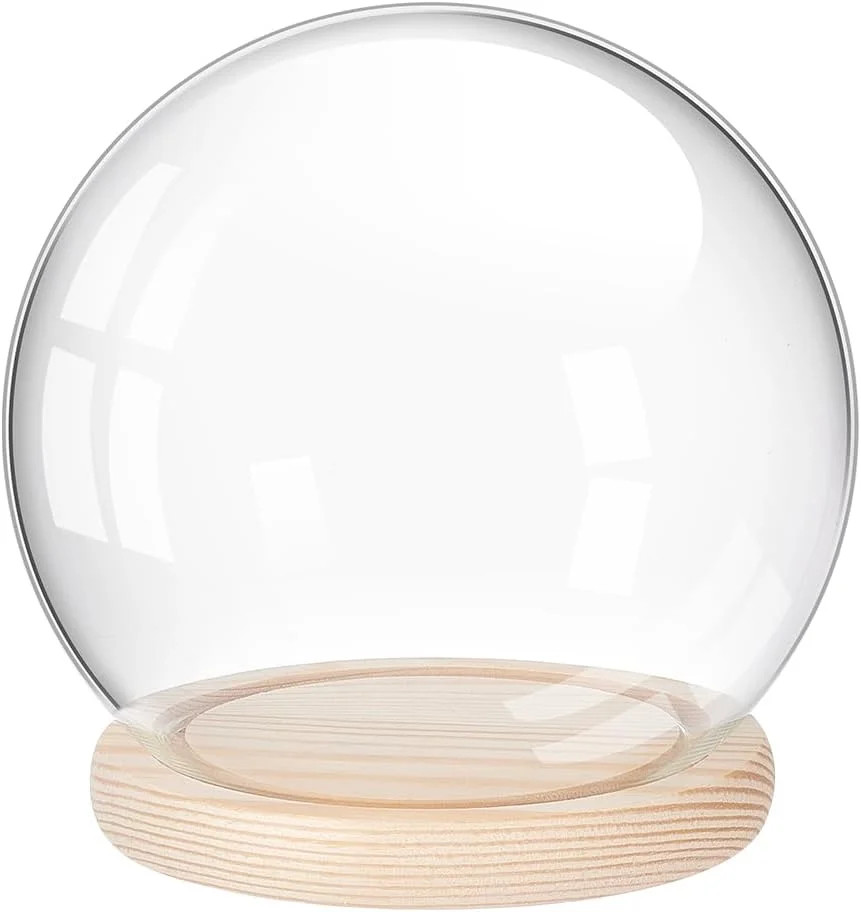 Glass Display Dome Cloche with Wood Base Decorative Clear Glass Cloche Bell Jar Decorative Showca... | Walmart (US)
