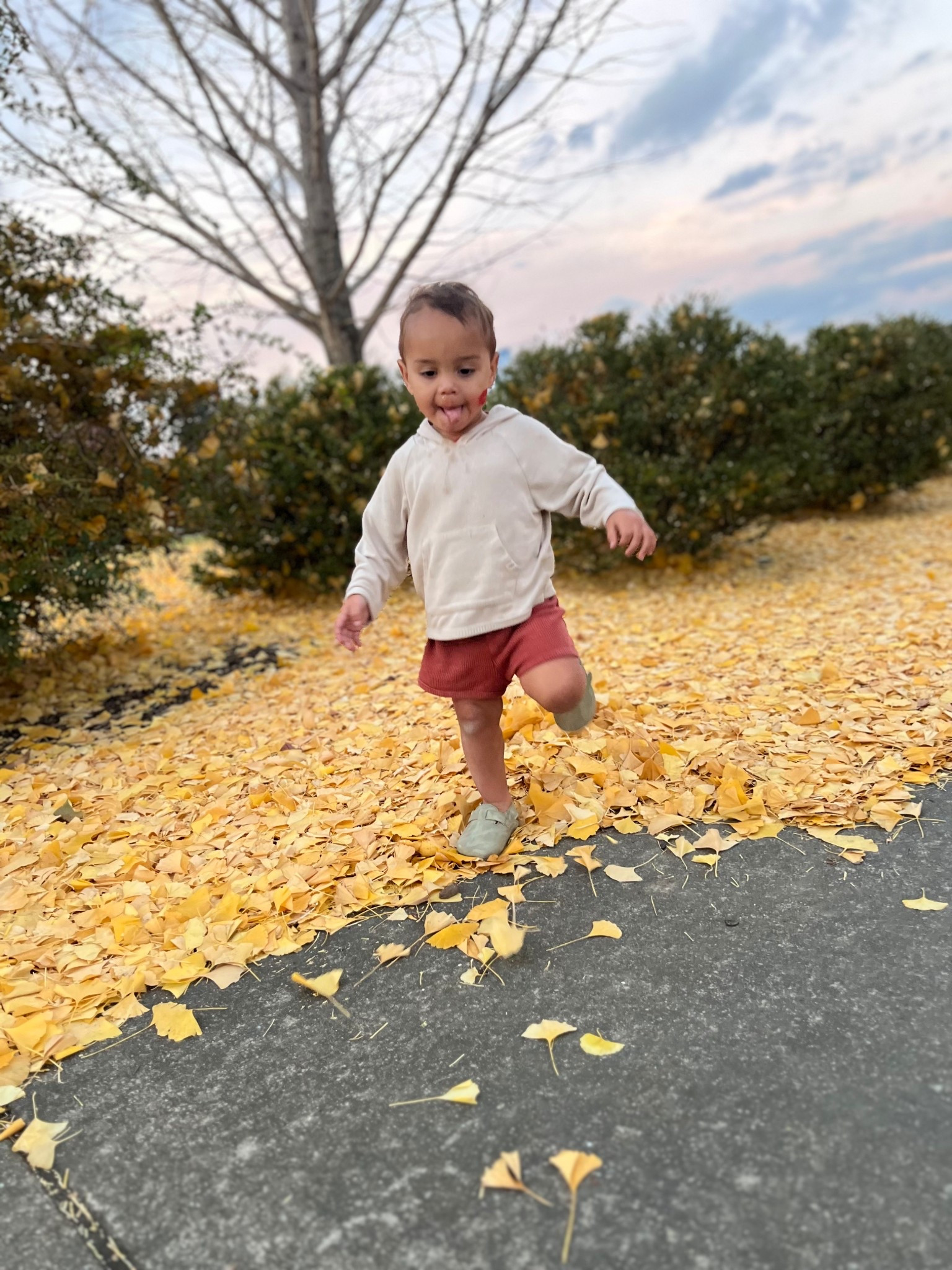 These toddler clogs!!! Are you kidding me 🥹

#LTKBaby #LTKKids #LTKootd