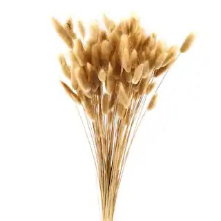 Dried Lagurus Bunch by Ashland® | Michaels | Michaels Stores