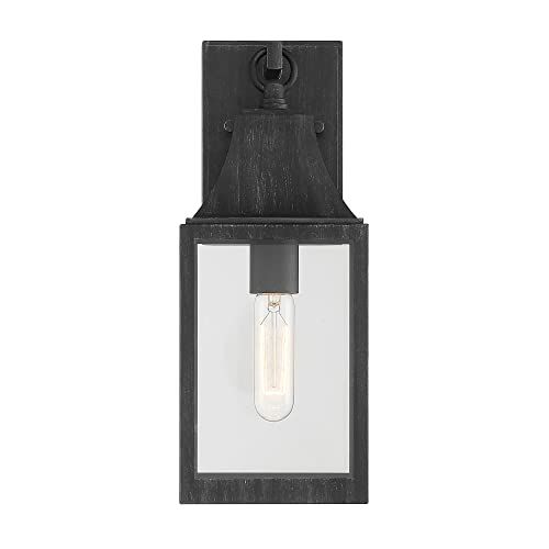 Designers Fountain Blueberry Trail 1 Light Outdoor Wall Lantern Sconce, Weathered Pewter, D265M-6... | Amazon (US)
