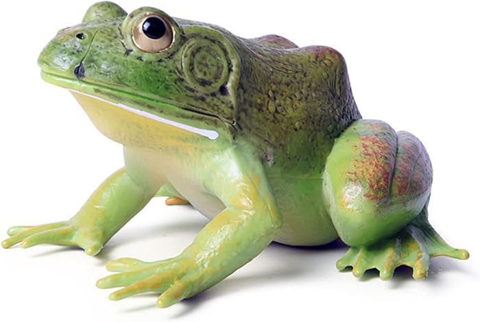 SCAHOW Plastic Frog Toys for Kids, Rainforest Animals Figures, Rubber Bullfrog Figurine, Forest W... | Amazon (US)