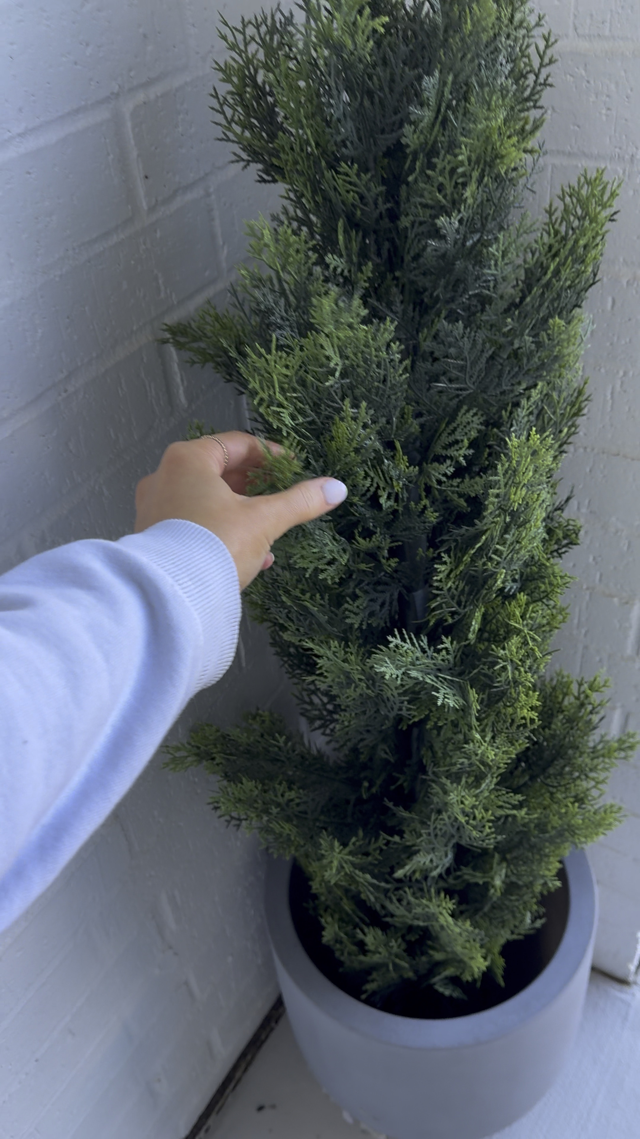 Gorgeous Faux trees on major sale today!! Everything dies in this heat so these are perfect and look super real! 

#LTKSaleAlert #LTKCyberWeek #LTKWatchNow