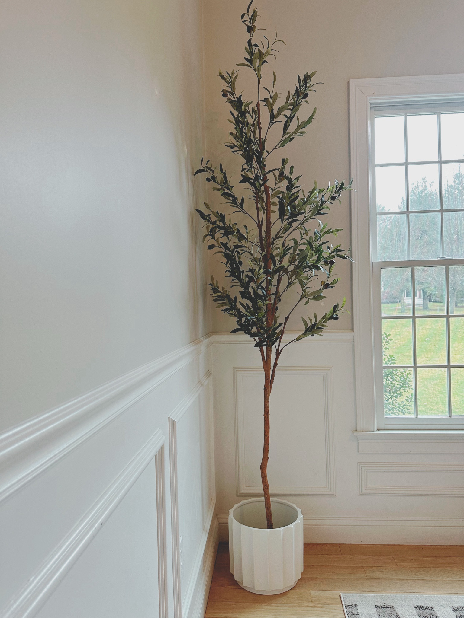 Fake olive tree on super sale!

#LTKhome #LTKMostLoved #LTKsalealert
