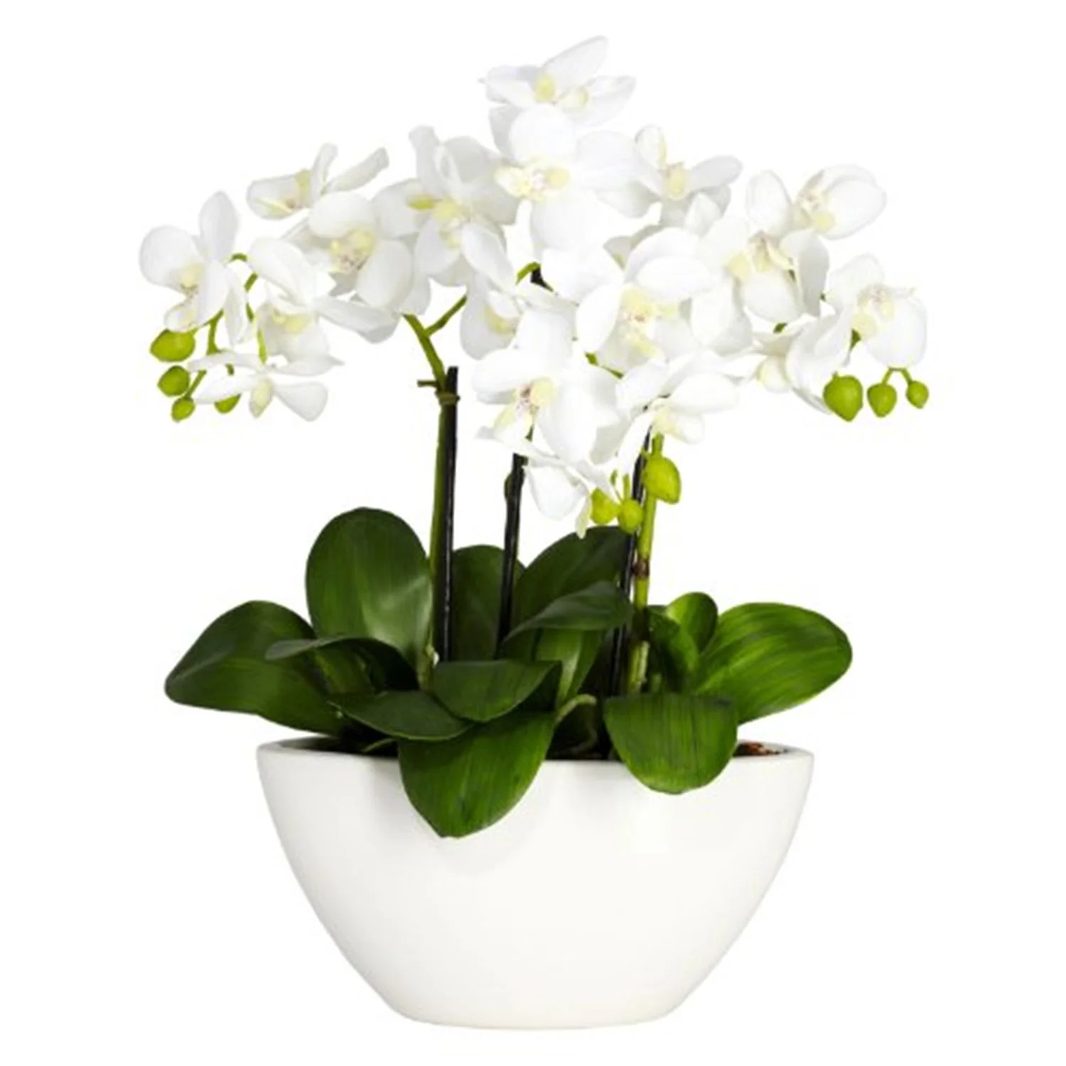 Nearly Natural 15in. Phalaenopsis Silk Flower Arrangement, Off-White - Walmart.com | Walmart (US)