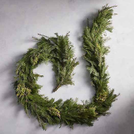 Fresh Noble Fir + Golden Juniper Garland | Terrain