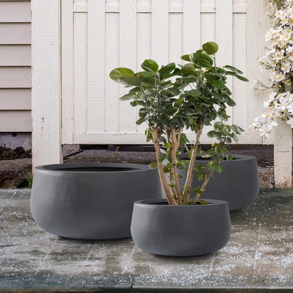 Kante 3 Piece 19.6", 15.7", and 11.8"W Round Concrete Elegant Planters, Outdoor Indoor Modern Pla... | Wayfair Professional