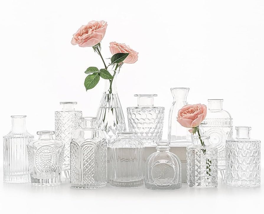 12pcs Glass Bud Vase Set, Small Clear Flower Vases for Centerpieces in Bulk, Mini Vintage Vase fo... | Amazon (US)