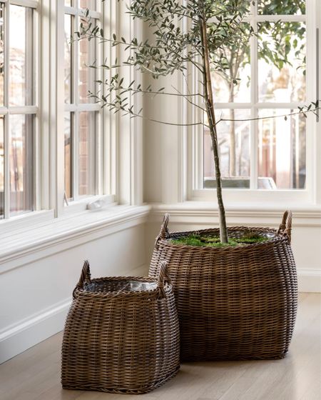 Love these baskets!  Such a nice alternative to a stone or cement planter. 






McGee and co, studio McGee, traditional, farmhouse, modern organic 

#LTKhome