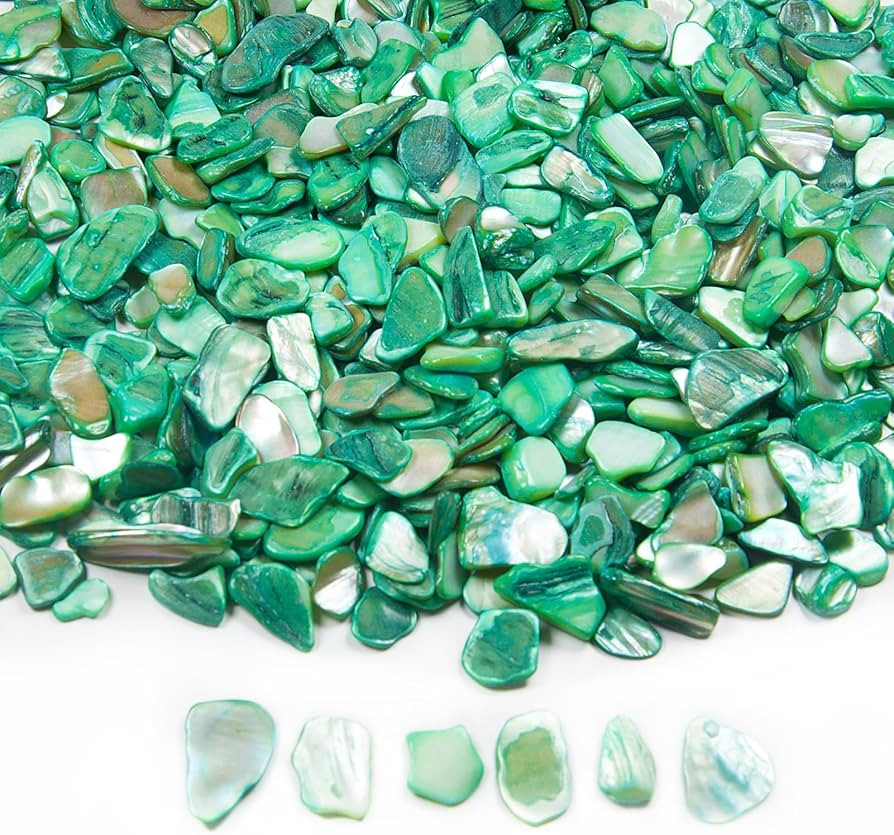 Natural Crushed Shells Chips, 14.5 oz Green Mosaic Sea Shell Fragments for Crafts, Small Crushed ... | Amazon (US)