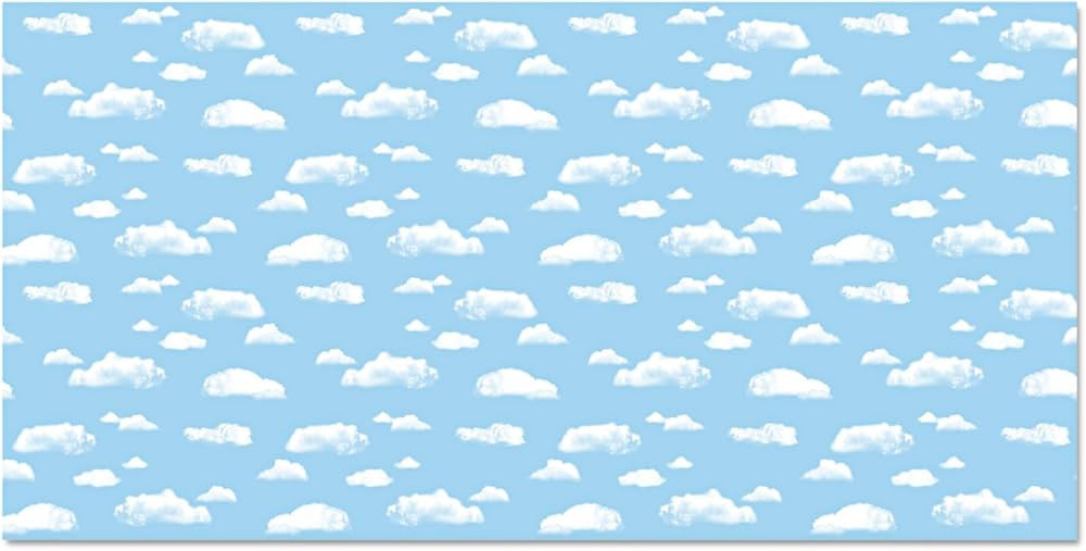 Pacon 56465 Fadeless Designs Bulletin Board Paper, Clouds, 48-Inch x 50 ft. (PAC56465) | Amazon (CA)