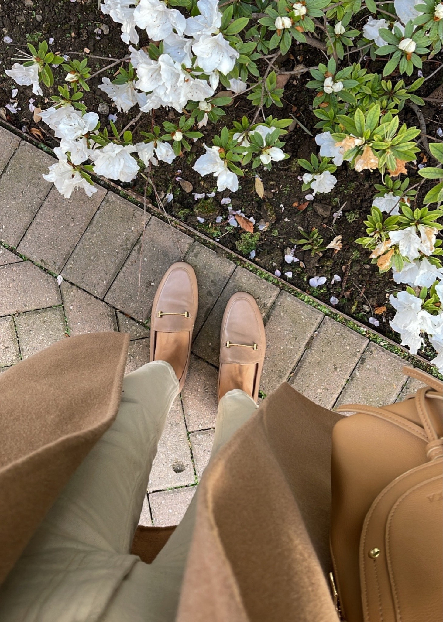 Spring neutrals / spring workwear 🌸 

• sam Edelman loafers - tts cedarwood (linked to the newest style which is extremely similar to the ones in the photo) 

Workwear / office shoes / work shoes / loafers / business casual / spring / neutral 

#LTKworkwear #LTKSeasonal