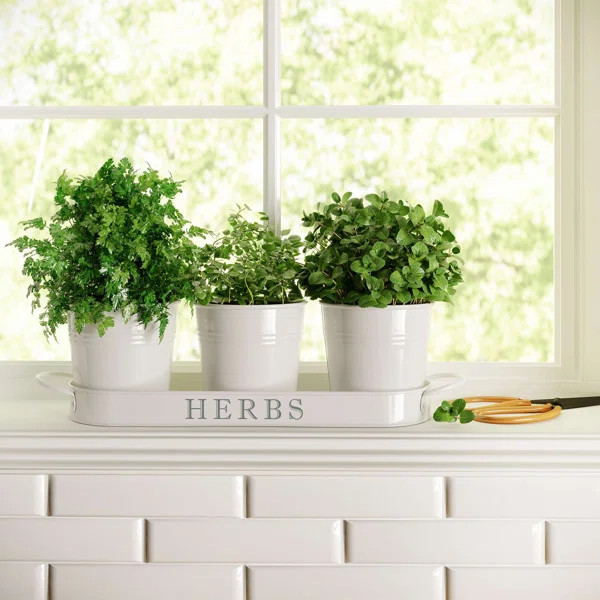 Holton 3-Piece Metal Pot Planter | Wayfair North America