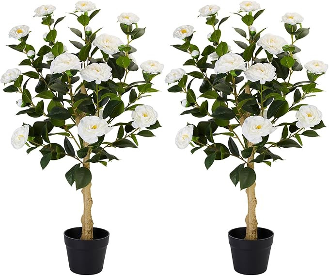 3FT Artificial Camellia Tree, 2 Pack Fake Camellia Tree Artificial Tree, Faux Floral Plants in Ce... | Amazon (US)