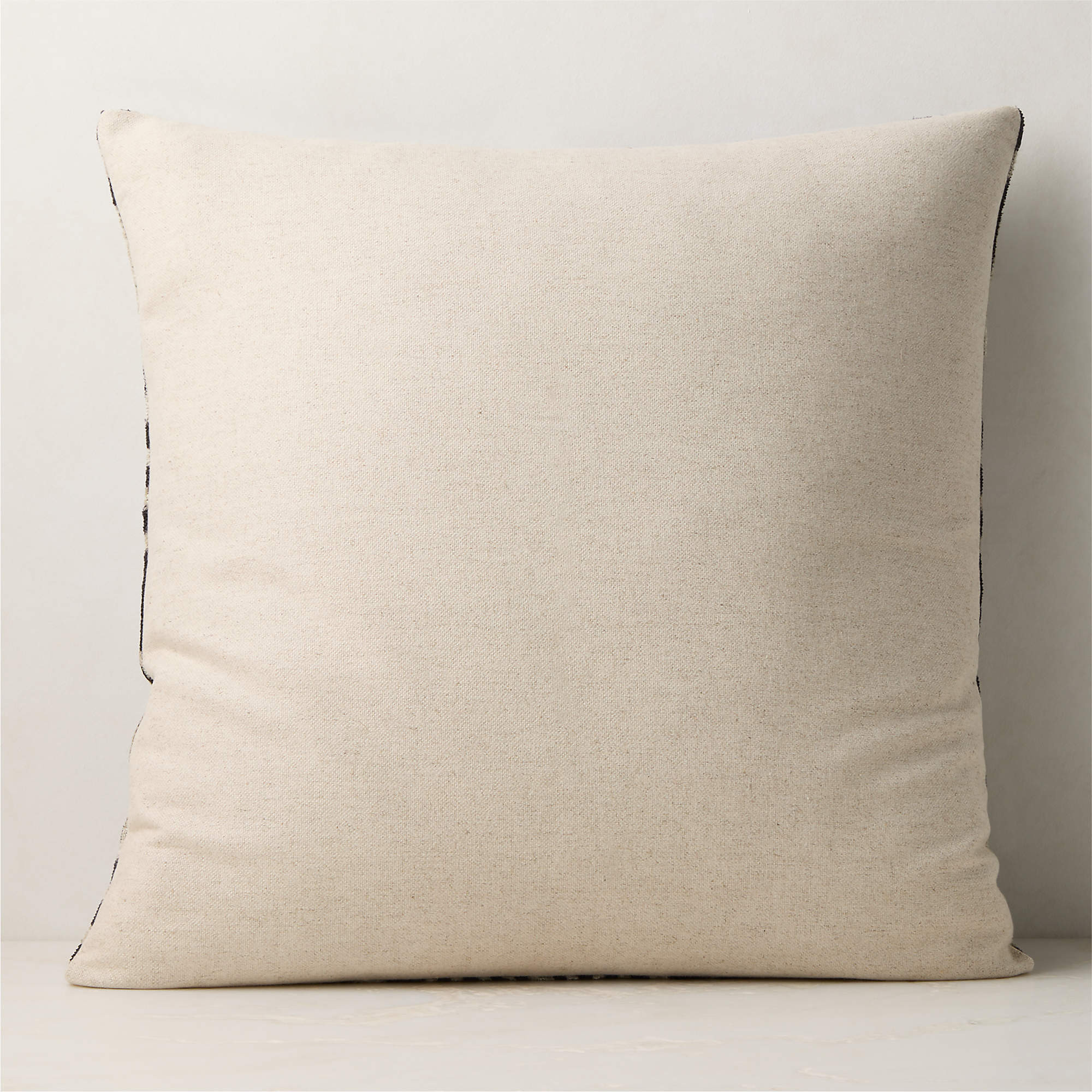 Ada Turkish Silk Throw Pillow with Down-Alternative Insert 23"x23" | CB2 | CB2