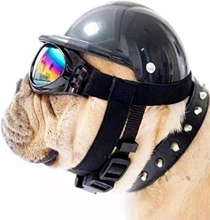 Dog Hat with Goggles, Riding Bike Doggie Cap (Small, Black) | Amazon (US)