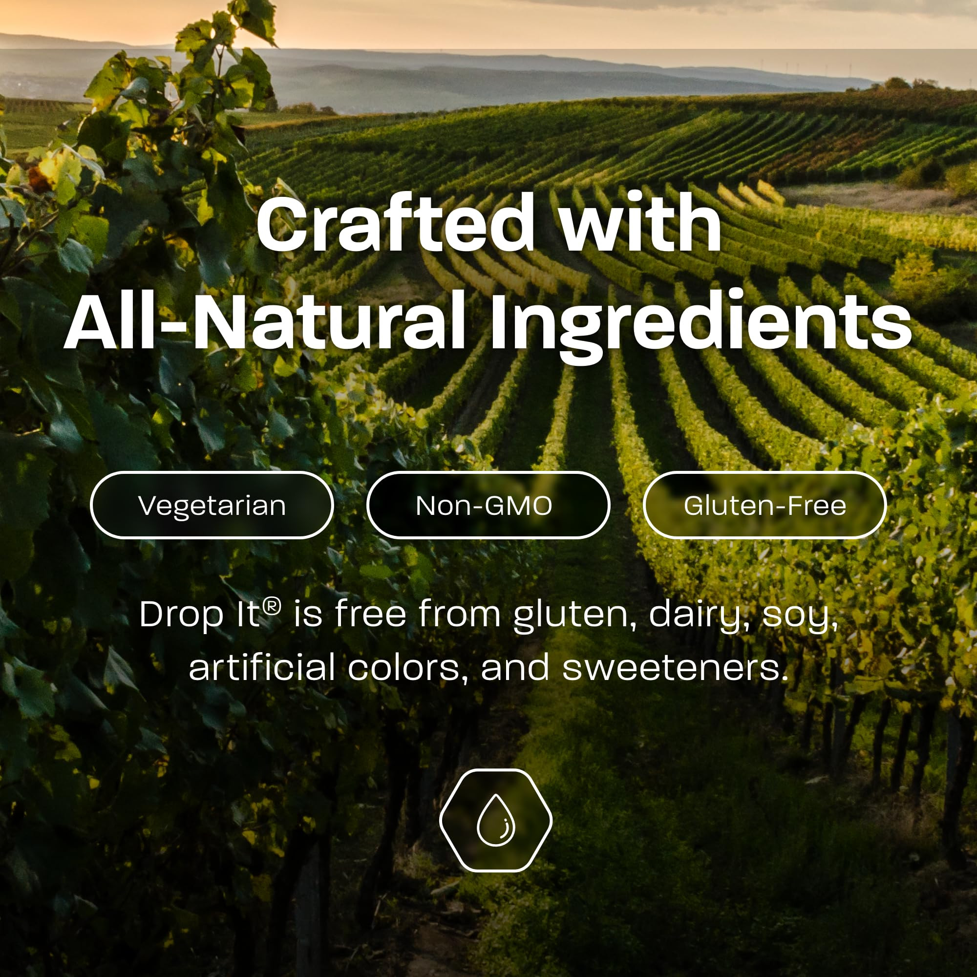 Drop It Wine Drops, Original - 10 mL, 2 Pack - Naturally Reduces Sulfites & Tannins in Red, White... | Amazon (US)