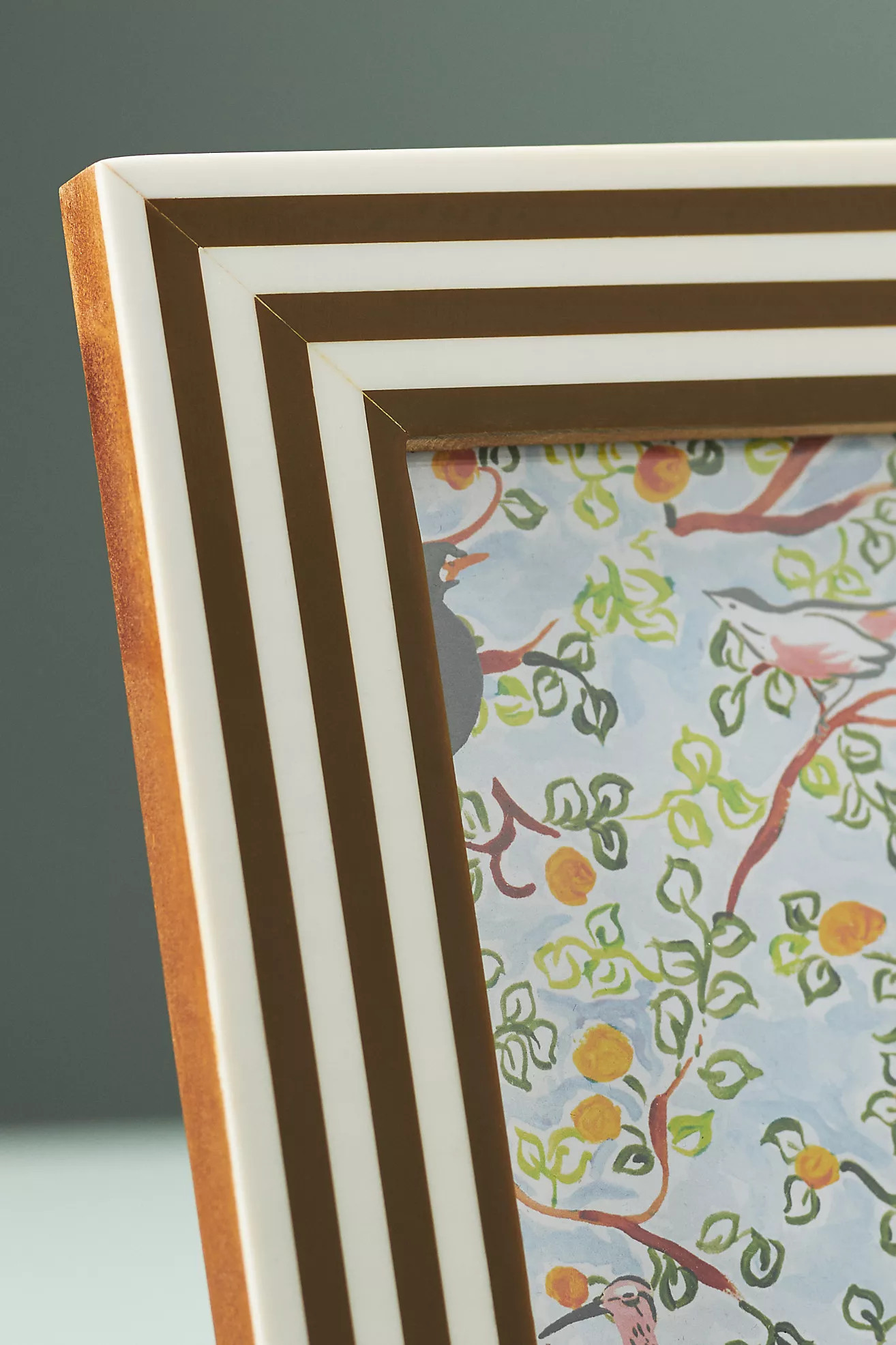 Striped Resin Frame | Anthropologie (US)