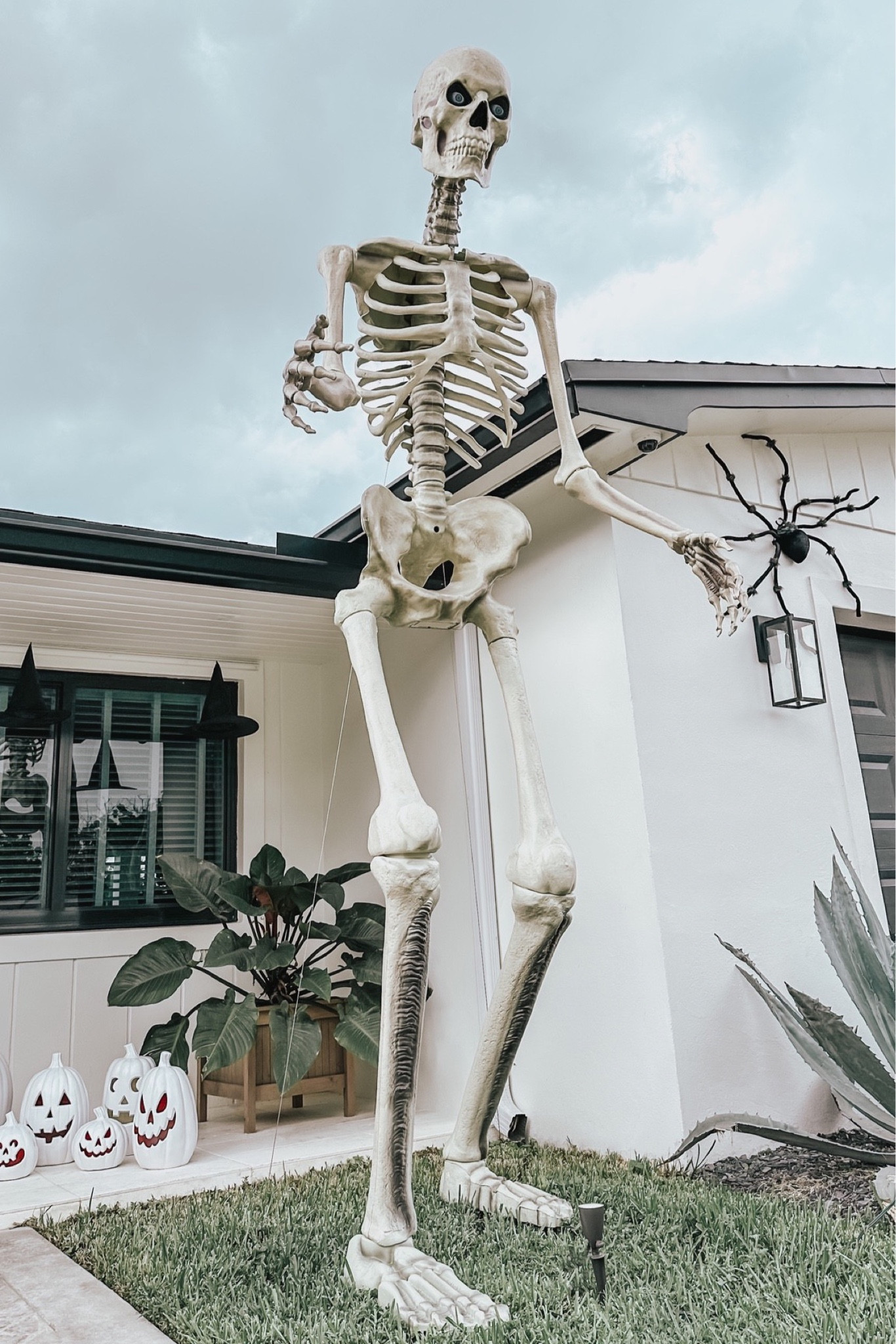 Guess who is back?! 💀 run!!!! My 12 ft Skelly already sold out once - don’t miss it again! #skeleton #12footskeleton #outdoorskeleton #fall #halloween #halloweendecor #skelly 

#LTKhome #LTKSeasonal #LTKFind