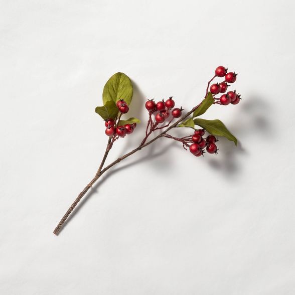 Faux Rosehip Stem - Hearth & Hand™ with Magnolia | Target