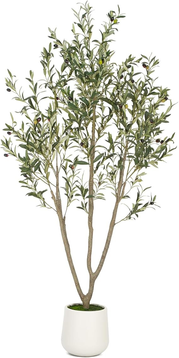 VIVATREES Olive Trees Artificial Indoor, 6FT Tall Faux Olive Tree with White Tall Planter, Artifi... | Amazon (US)