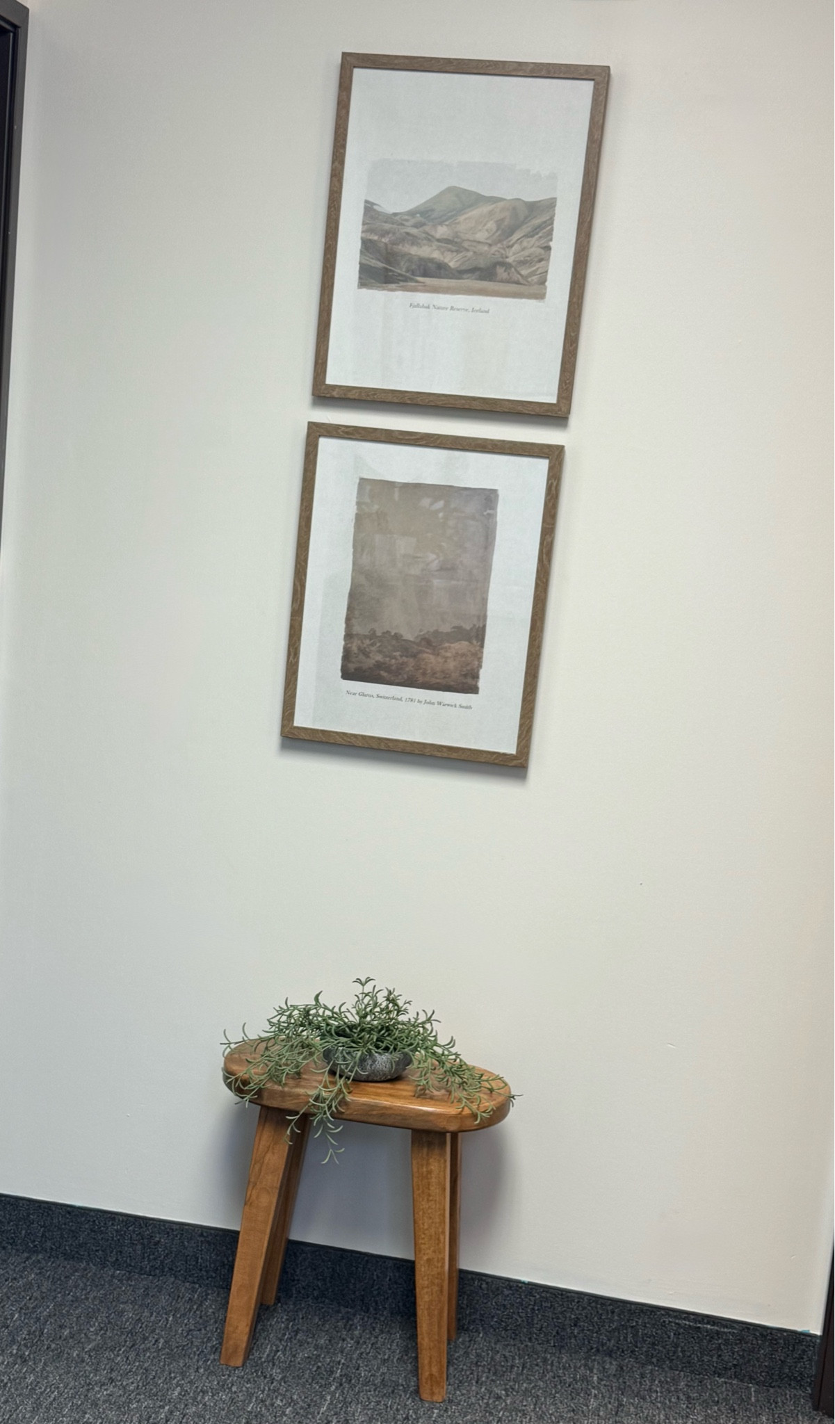 Target, threshold, side table, natural wood table, bench, stool, small hallway decor, framed art, studio McGee, McGee and co, nature art, draped plant, office ideas

#LTKHome #LTKU #LTKSaleAlert