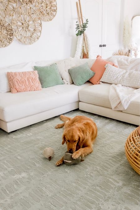 Loving these luxe washable rugs! Linking them all here. Get 10% off with our code for the rugs : 10OFF-OURLOVINGLOLA. 

Plus Urban outfitters is 25% off only in the LTK app! Linking my favorite home & pet items here. 

#LTKsalealert #LTKHolidaySale #LTKhome