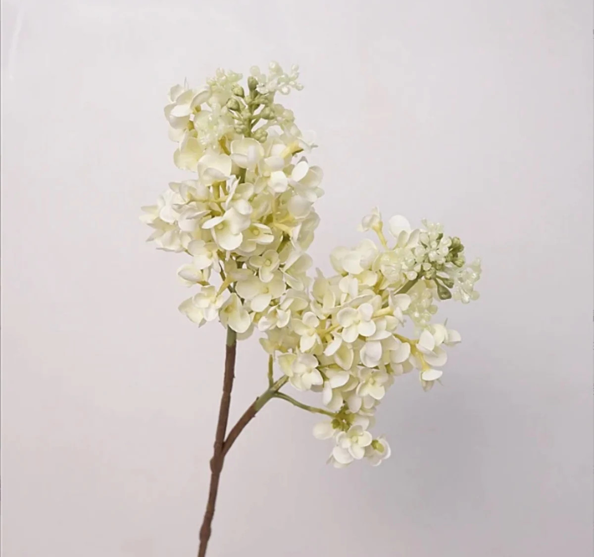 CREAM LILAC STEM | The Crowded Table Co. 