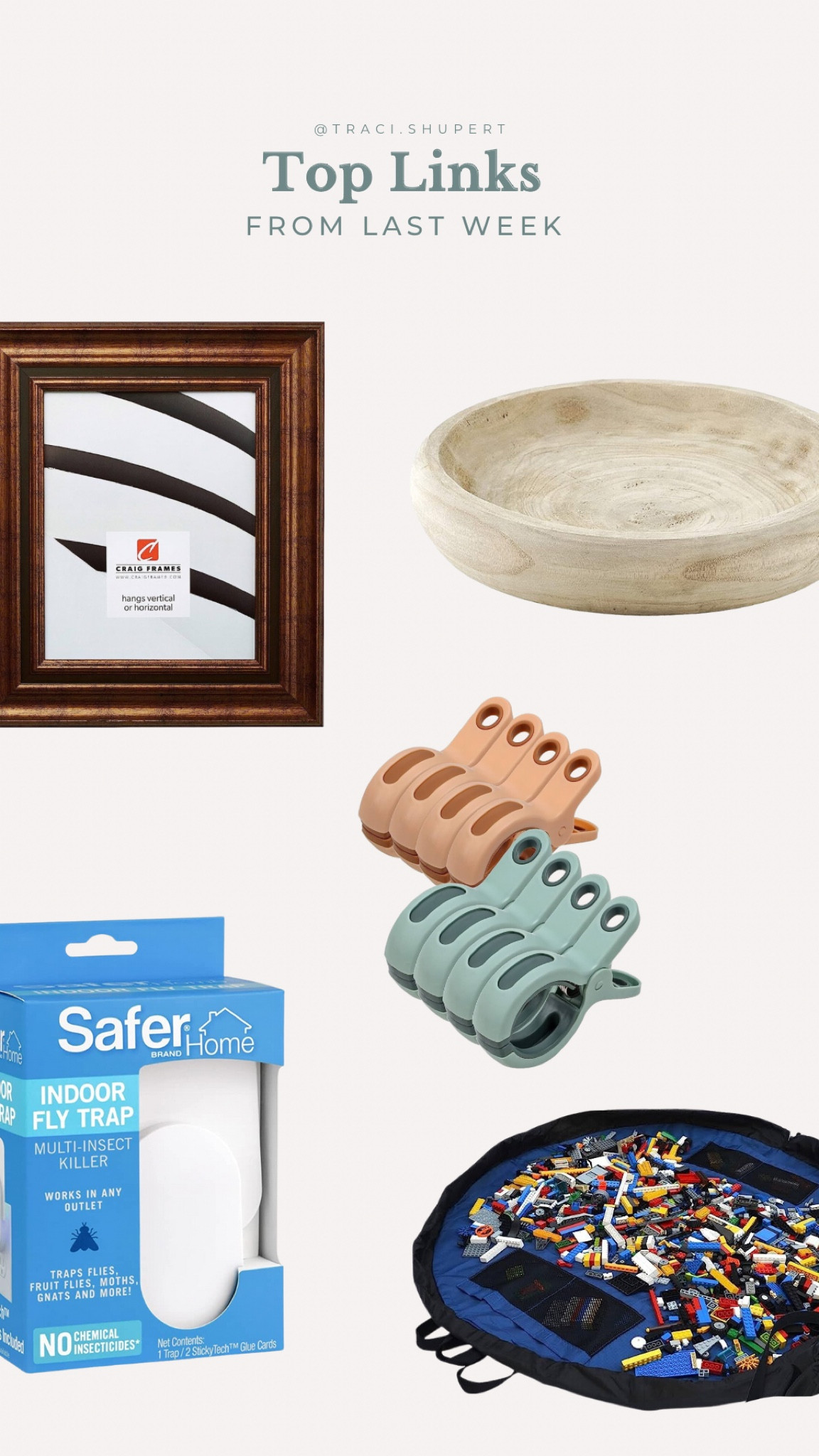 Top links from last week | brass antique picture frame, wood decorative bowl, beach towel clips, fly trap, Lego storage

#LTKhome #LTKkids #LTKfamily