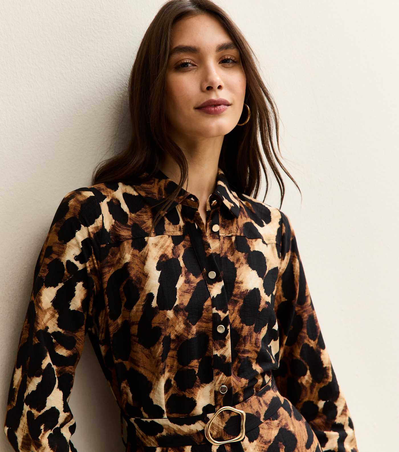 Brown Leopard Print Long Sleeve Shirt Dress | New Look | New Look (UK)