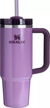 Stanley 30 oz. Quencher H2.0 FlowState Tumbler - Hammertone Homecoming Collection | Dick's Sporti... | Dick's Sporting Goods