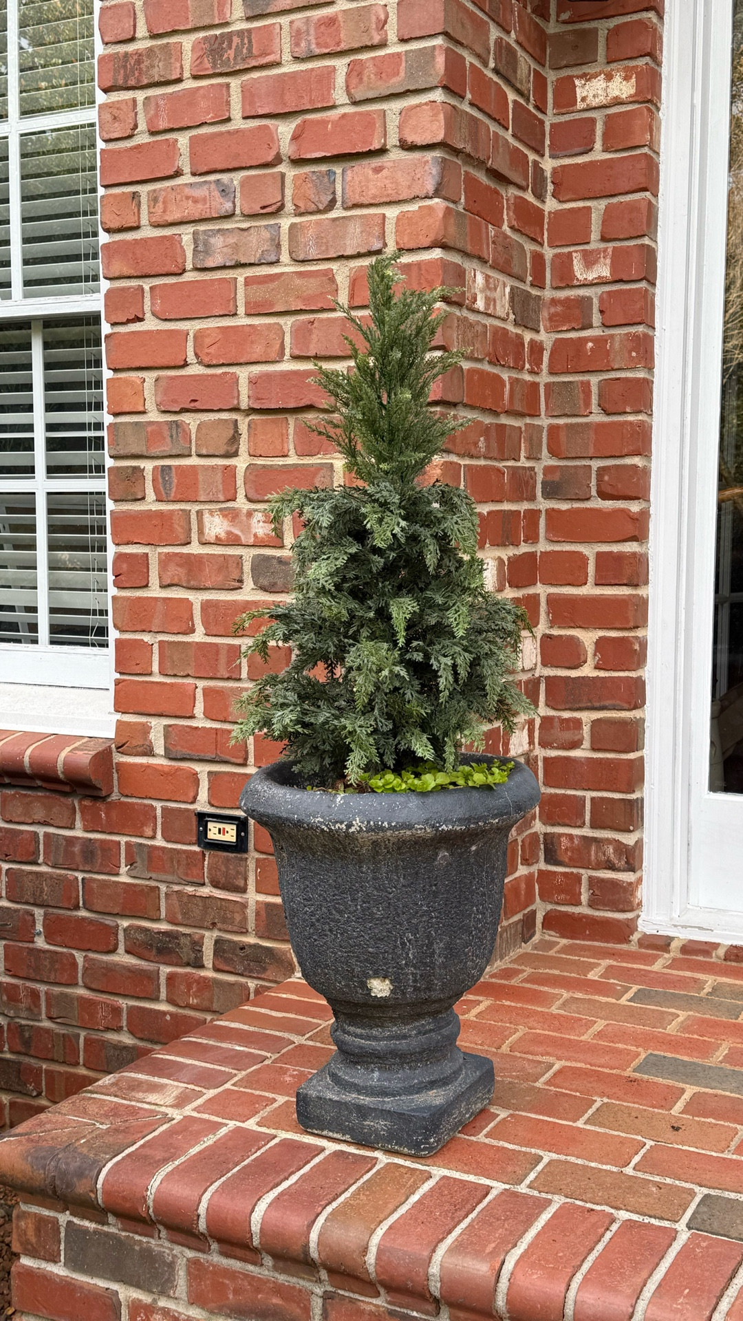 The artificial trees from Amazon are so real looking!  They come in 2, 3, and 4 feet.  I’ll be leaving mine outside all winter long. 

#LTKHoliday #LTKSeasonal #LTKFindsUnder50