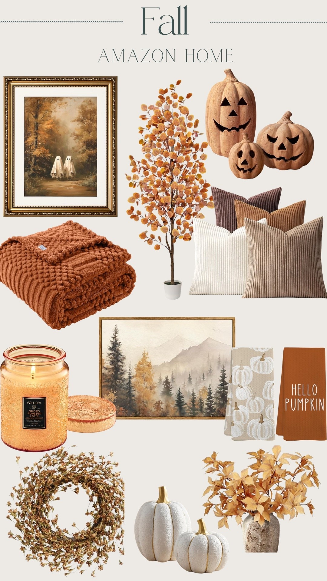 Amazon fall home !
