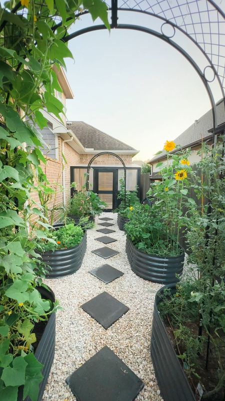 Home garden with raised garden beds and metal trellis arches

#LTKSeasonal #LTKhome