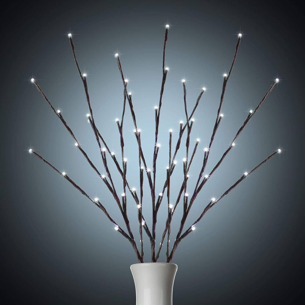 Lighted Branches for Vases Plug in - 3 Pack 24Inch 60 LED Christmas DIY Twig Pathway Lights, Arti... | Amazon (US)