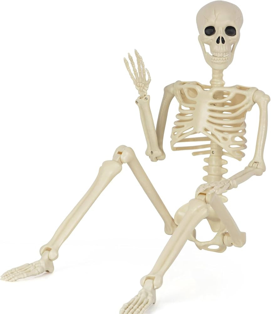 5.4FT Skeleton Halloween Decoration, Human Life Size Posable Halloween Skeleton Decor, Full Size ... | Amazon (US)