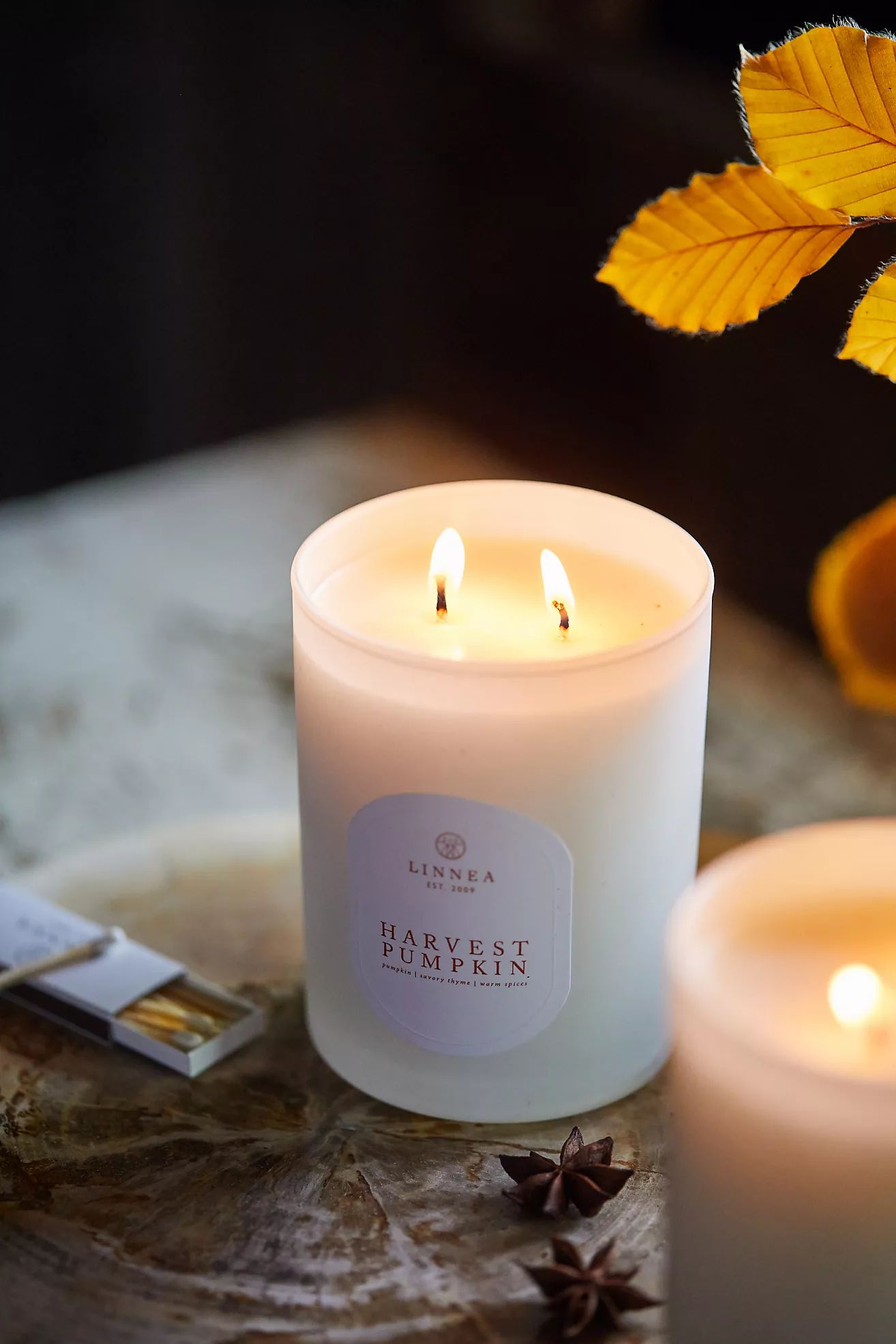 Linnea Candle, Harvest Pumpkin | Anthropologie (US)