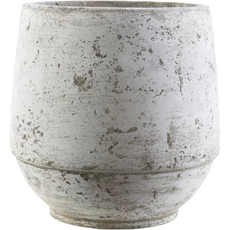 Camryn Cement Pot Planter | Wayfair North America
