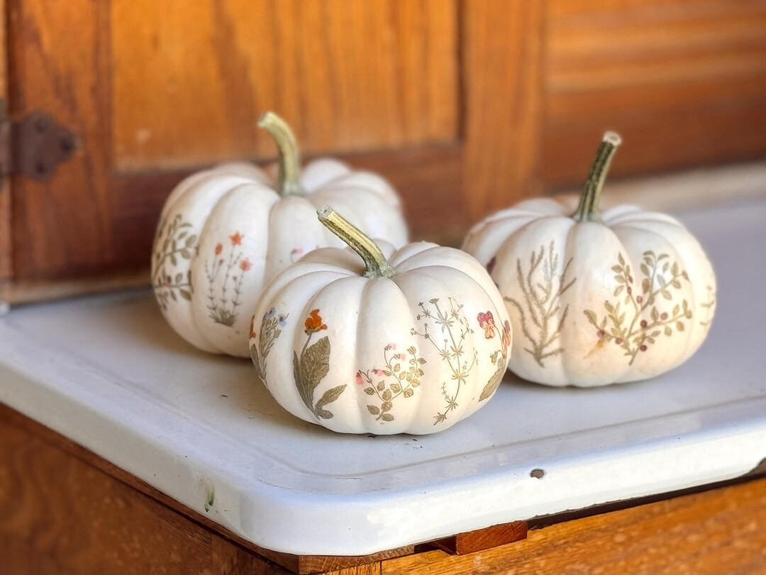 Trio of Wildflower Pumpkins - Ojai Made. - Etsy | Etsy (US)